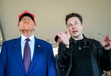 Elon Musk Donald Trump