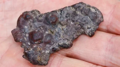 Meteorit oder Schlacke