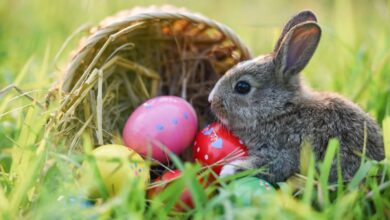 Wann ist Ostern 2025