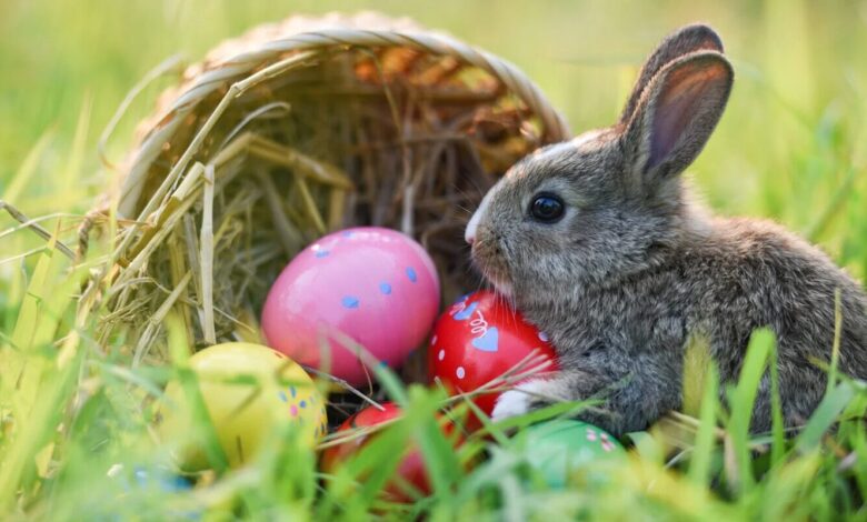 Wann ist Ostern 2025